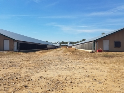 Poultry farm in Alexander County, Taylorsville NC - image 8