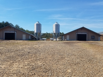 Poultry farm in Alexander County, Taylorsville NC - image 19