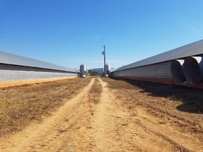 Poultry farm in Alexander County, Taylorsville NC - image 16