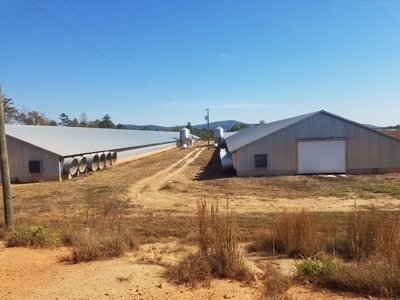 Poultry farm in Alexander County, Taylorsville NC - image 15