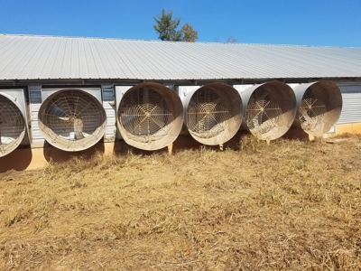 Poultry farm in Alexander County, Taylorsville NC - image 17