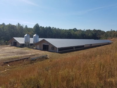 Poultry farm in Alexander County, Taylorsville NC - image 11