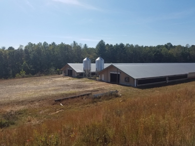 Poultry farm in Alexander County, Taylorsville NC - image 12