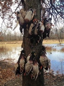 Historic Lucy Timber Duck Club for Sale in Chariton County - image 30