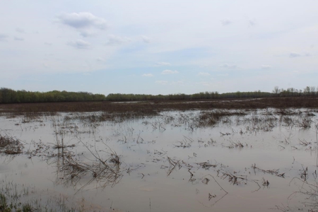 Historic Lucy Timber Duck Club for Sale in Chariton County - image 19