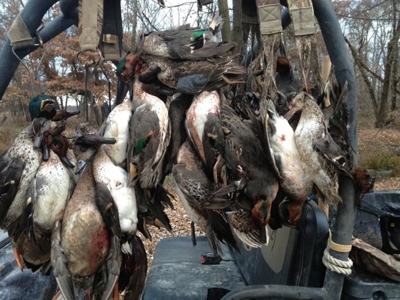 Historic Lucy Timber Duck Club for Sale in Chariton County - image 40