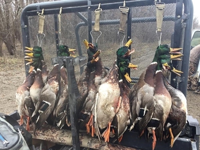 Historic Lucy Timber Duck Club for Sale in Chariton County - image 11