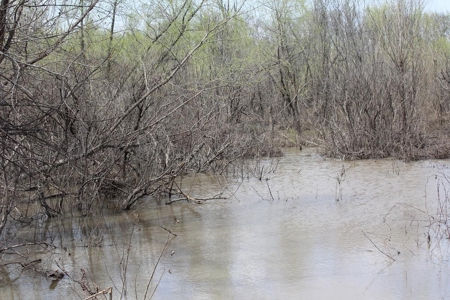 Historic Lucy Timber Duck Club for Sale in Chariton County - image 50