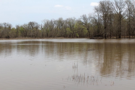 Historic Lucy Timber Duck Club for Sale in Chariton County - image 10