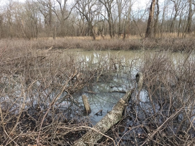Historic Lucy Timber Duck Club for Sale in Chariton County - image 14