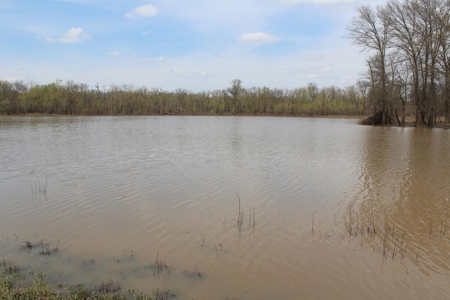 Historic Lucy Timber Duck Club for Sale in Chariton County - image 48