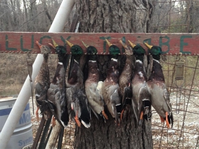 Historic Lucy Timber Duck Club for Sale in Chariton County - image 5