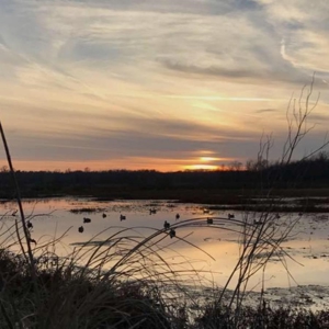 Historic Lucy Timber Duck Club for Sale in Chariton County - image 43