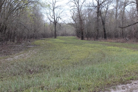 Historic Lucy Timber Duck Club for Sale in Chariton County - image 41