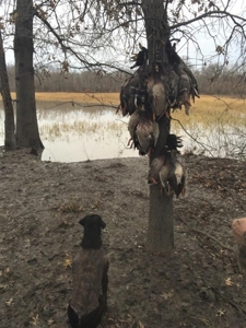 Historic Lucy Timber Duck Club for Sale in Chariton County - image 21