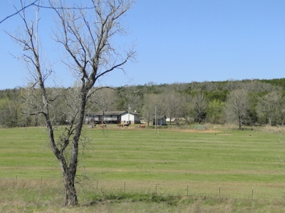 Arkansas Hobby Farm For Sale - image 1