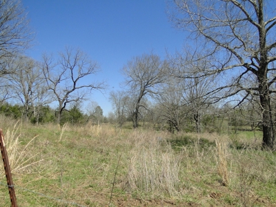 Arkansas Hobby Farm For Sale - image 47