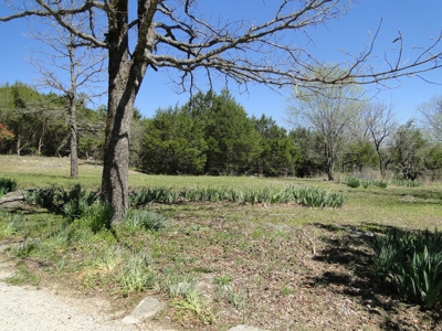 Arkansas Hobby Farm For Sale - image 3