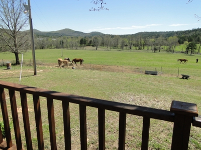 Arkansas Hobby Farm For Sale - image 21