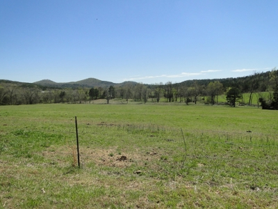 Arkansas Hobby Farm For Sale - image 18