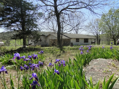 Arkansas Hobby Farm For Sale - image 2