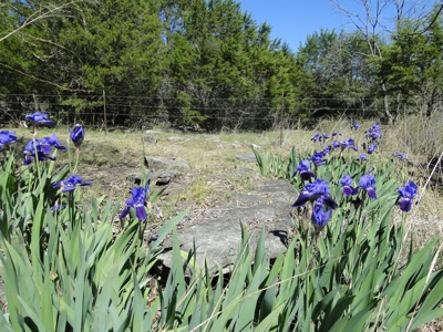 Arkansas Hobby Farm For Sale - image 48