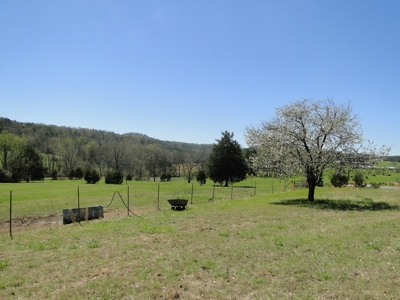 Arkansas Hobby Farm For Sale - image 9
