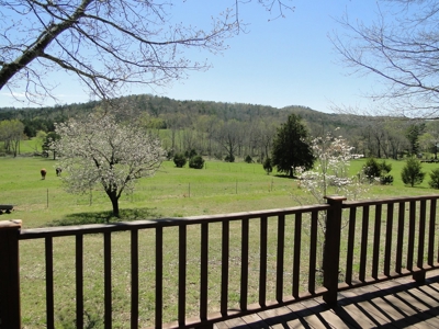 Arkansas Hobby Farm For Sale - image 20