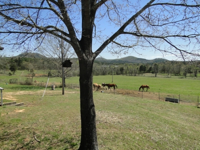 Arkansas Hobby Farm For Sale - image 22