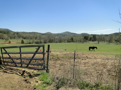 Arkansas Hobby Farm For Sale - image 46
