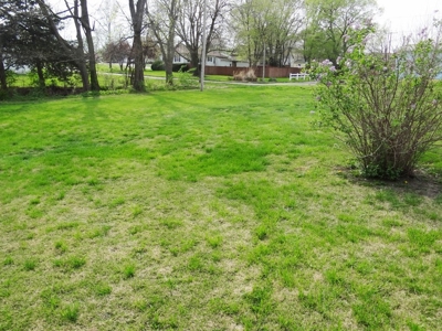 Minimum Opening Bid Real Estate Auction - image 2