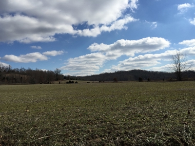 Farm For Sale in Kentucky at Online Auction - image 2