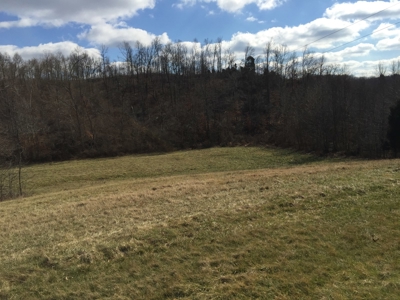 Farm For Sale in Kentucky at Online Auction - image 6