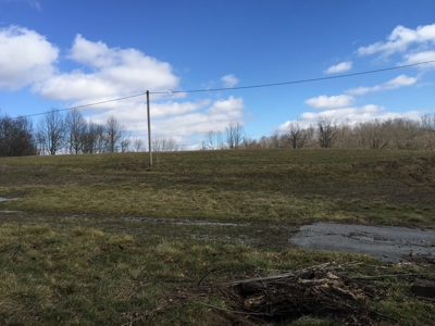 Farm For Sale in Kentucky at Online Auction - image 22