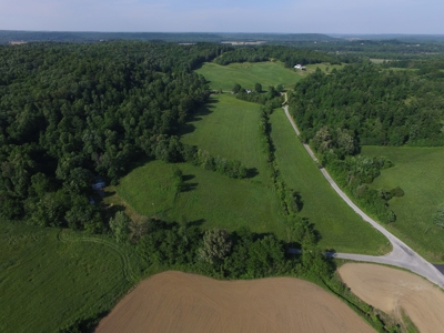 Farm For Sale in Kentucky at Online Auction - image 37
