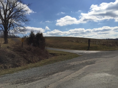 Farm For Sale in Kentucky at Online Auction - image 29