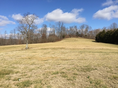 Farm For Sale in Kentucky at Online Auction - image 4