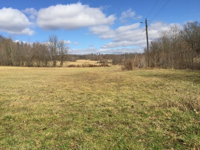 Farm For Sale in Kentucky at Online Auction - image 27