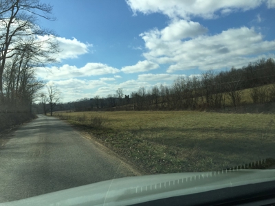 Farm For Sale in Kentucky at Online Auction - image 33