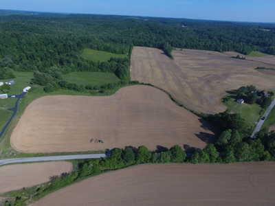 Farm For Sale in Kentucky at Online Auction - image 35