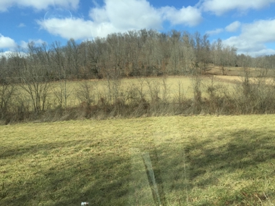 Farm For Sale in Kentucky at Online Auction - image 32
