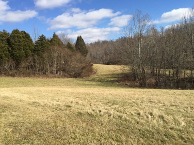 Farm For Sale in Kentucky at Online Auction - image 7