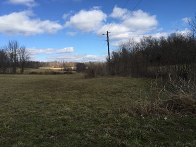 Farm For Sale in Kentucky at Online Auction - image 21