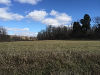 Farm For Sale in Kentucky at Online Auction - image 20