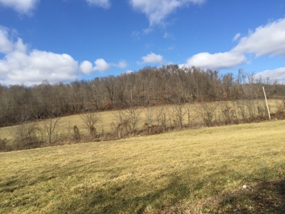 Farm For Sale in Kentucky at Online Auction - image 34