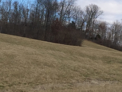 Farm For Sale in Kentucky at Online Auction - image 17