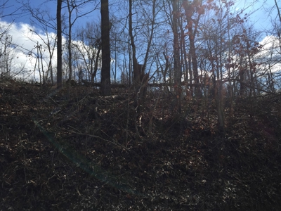 Farm For Sale in Kentucky at Online Auction - image 31