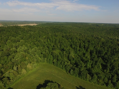 Farm For Sale in Kentucky at Online Auction - image 38