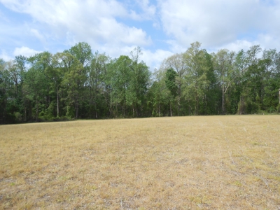 Farm For Sale Washington, NC Great For Horses Beaufort Co. - image 11