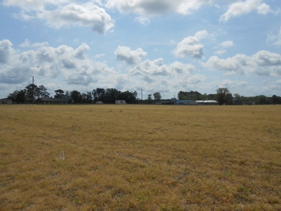 Farm For Sale Washington, NC Great For Horses Beaufort Co. - image 2
